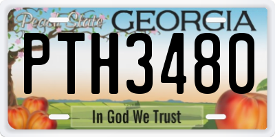 GA license plate PTH3480