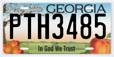 GA license plate PTH3485