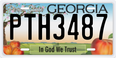 GA license plate PTH3487
