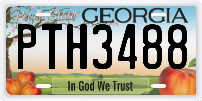 GA license plate PTH3488