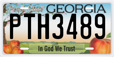 GA license plate PTH3489