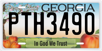 GA license plate PTH3490