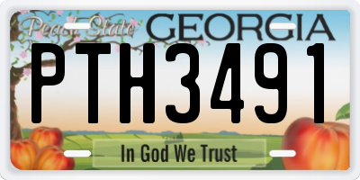 GA license plate PTH3491