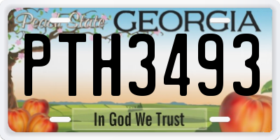 GA license plate PTH3493