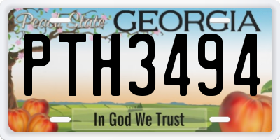 GA license plate PTH3494