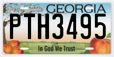 GA license plate PTH3495