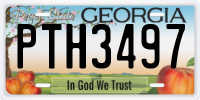 GA license plate PTH3497