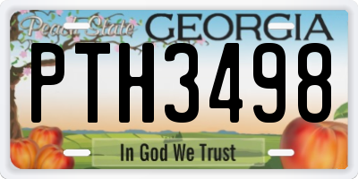 GA license plate PTH3498