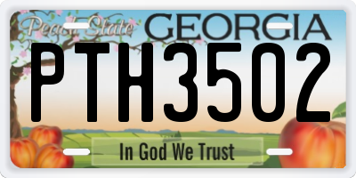 GA license plate PTH3502