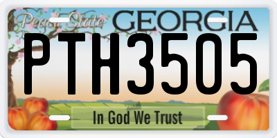GA license plate PTH3505