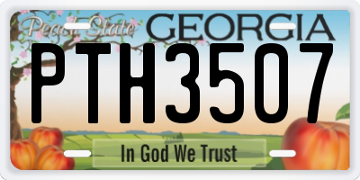 GA license plate PTH3507