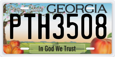 GA license plate PTH3508