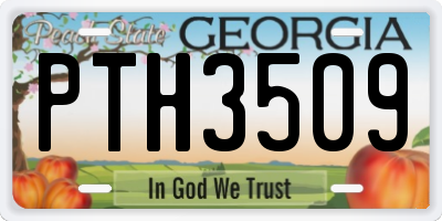 GA license plate PTH3509