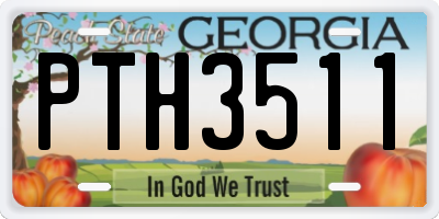 GA license plate PTH3511