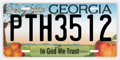 GA license plate PTH3512