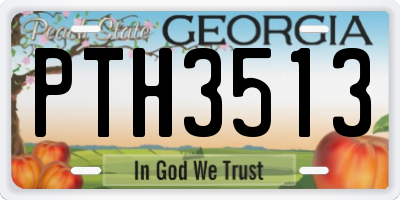 GA license plate PTH3513