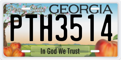 GA license plate PTH3514