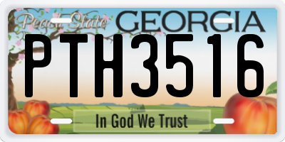 GA license plate PTH3516