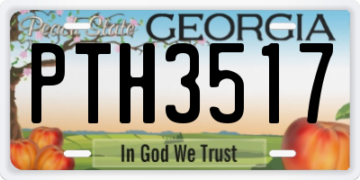 GA license plate PTH3517