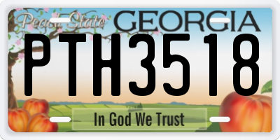 GA license plate PTH3518
