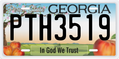GA license plate PTH3519
