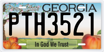 GA license plate PTH3521