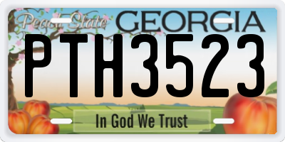 GA license plate PTH3523