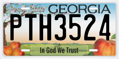 GA license plate PTH3524