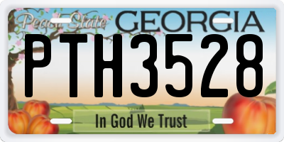 GA license plate PTH3528