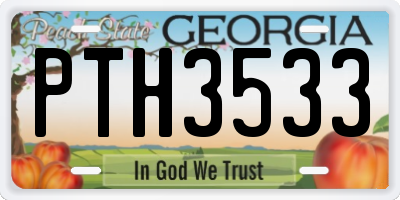 GA license plate PTH3533