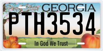 GA license plate PTH3534