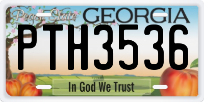 GA license plate PTH3536