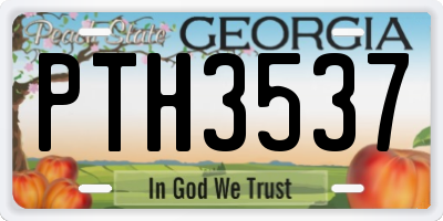 GA license plate PTH3537