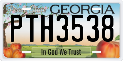 GA license plate PTH3538