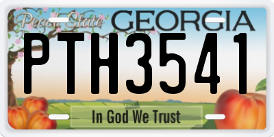 GA license plate PTH3541