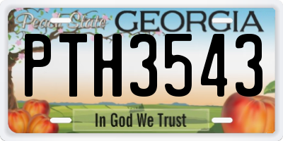 GA license plate PTH3543