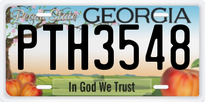 GA license plate PTH3548