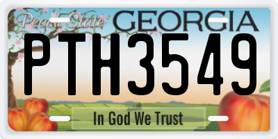 GA license plate PTH3549