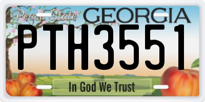 GA license plate PTH3551