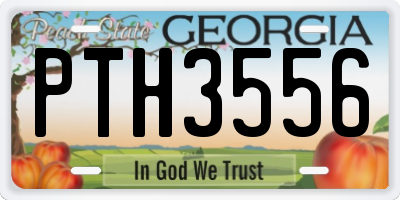 GA license plate PTH3556