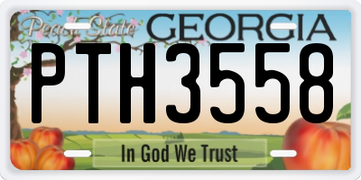 GA license plate PTH3558