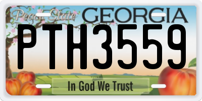 GA license plate PTH3559