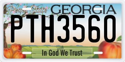 GA license plate PTH3560