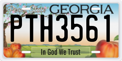 GA license plate PTH3561