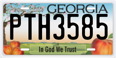 GA license plate PTH3585