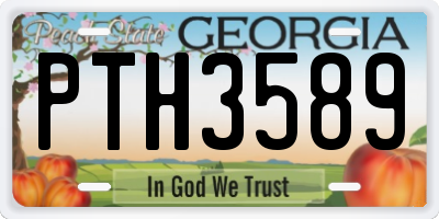 GA license plate PTH3589