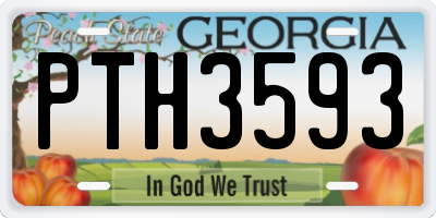 GA license plate PTH3593