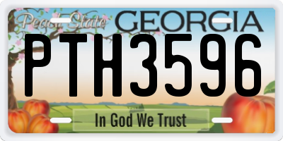 GA license plate PTH3596