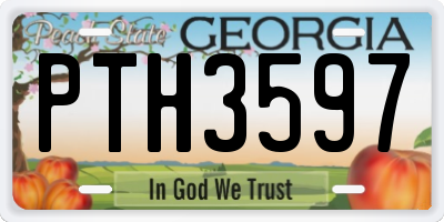 GA license plate PTH3597