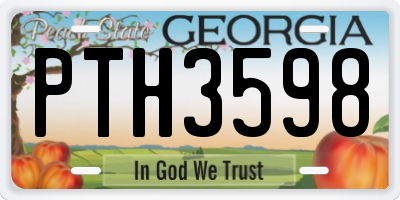 GA license plate PTH3598